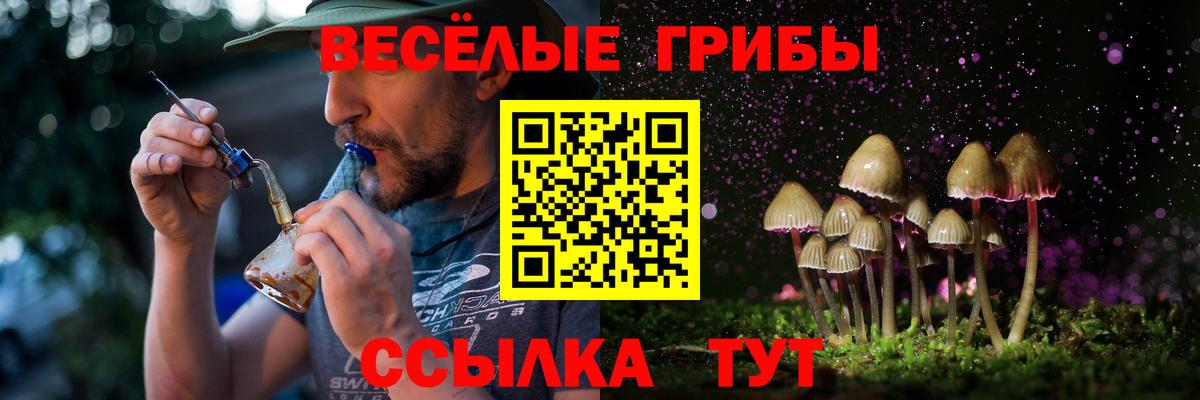 Владикавказ  Псилоцибиновые грибы Magic Shrooms  Вход с VPN 