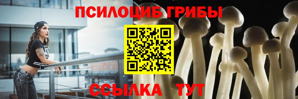 Галлюциногенные грибы Cubensis Владикавказ