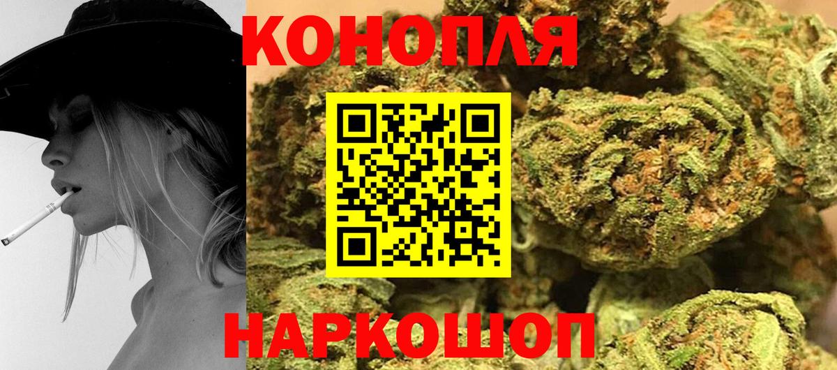 Марихуана конопля Владикавказ